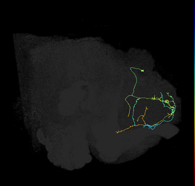 PDM15k_pct_R