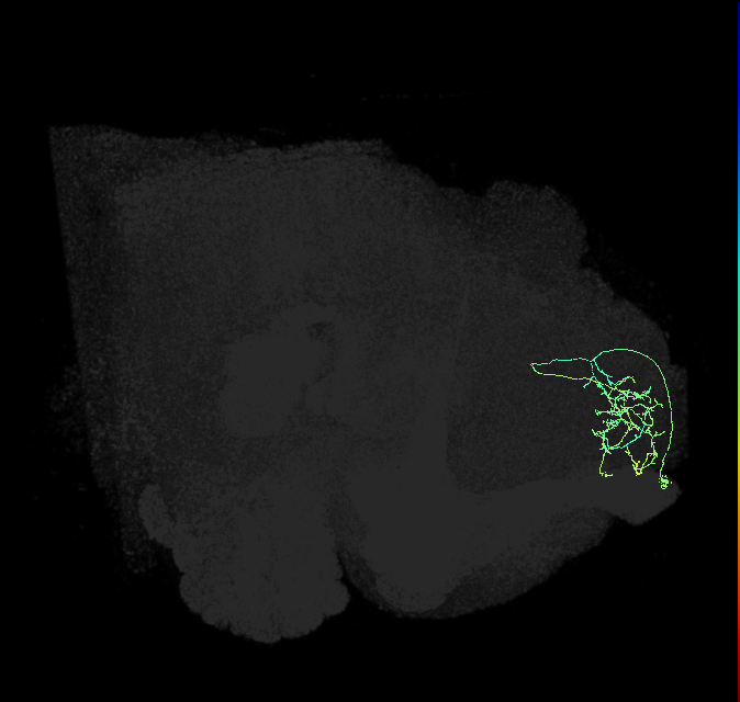 PDM07f_pct_R