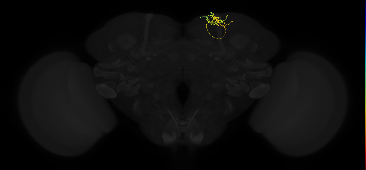 PDM07f_pct_R