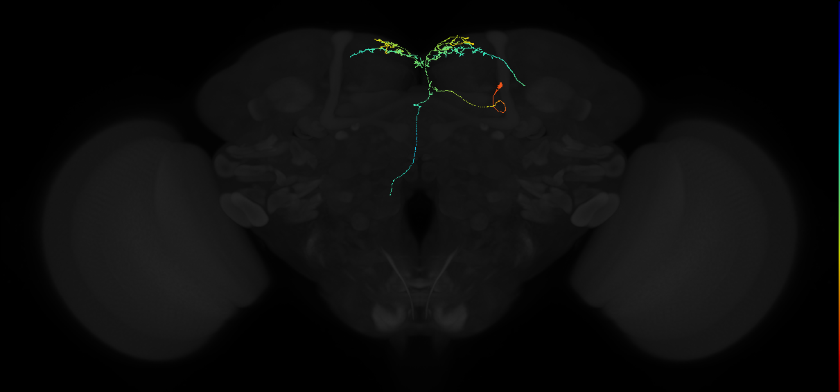 PDM15m_pct(pMP1)_R