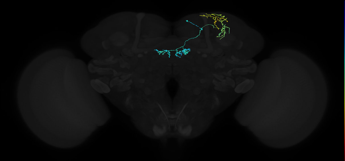 PAM04_a(B2)_R