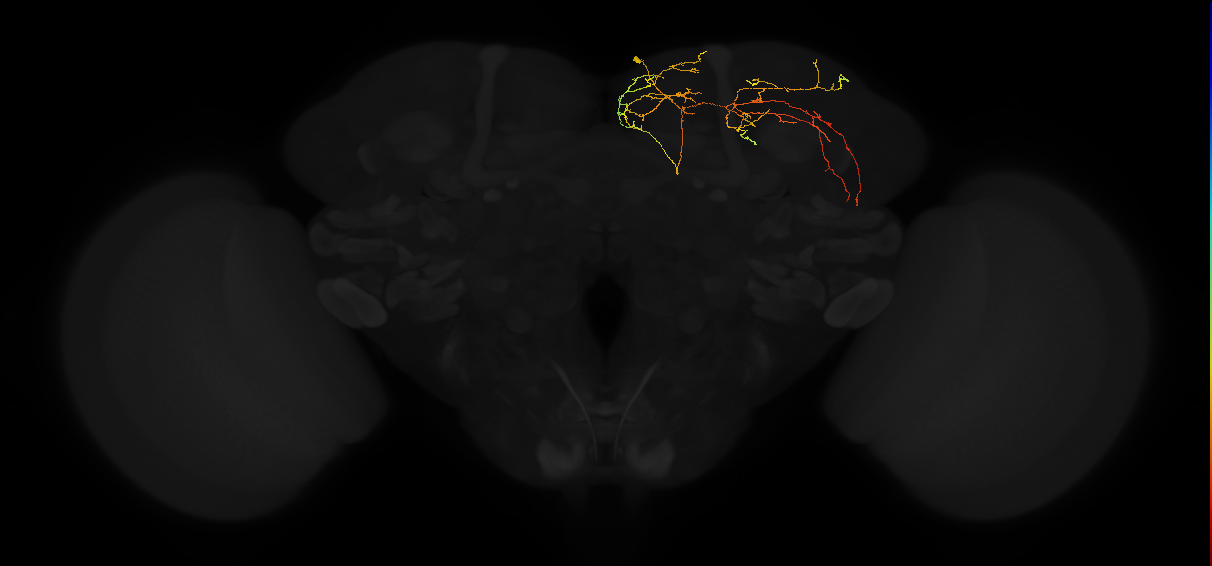 PDM12oq_pct_R