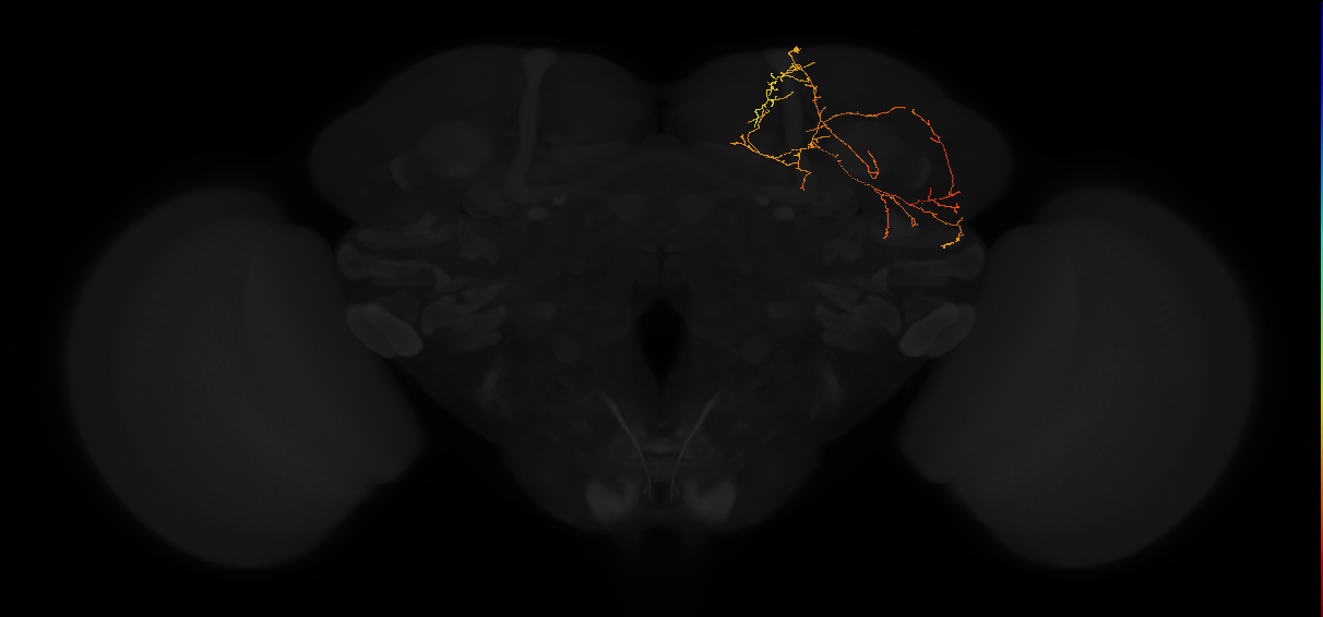 PDM10om_pct_R