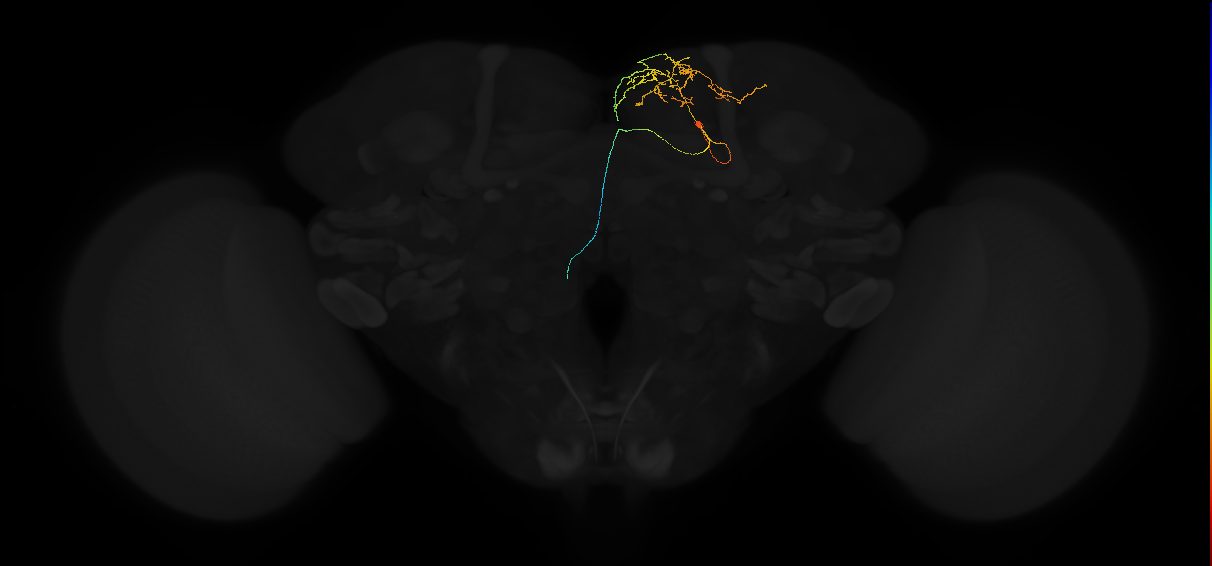 PDM15g_f_pct(pMP3a)_R