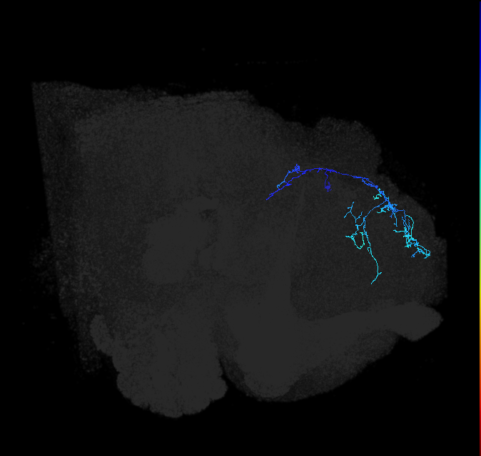 PDL17q_pct_R