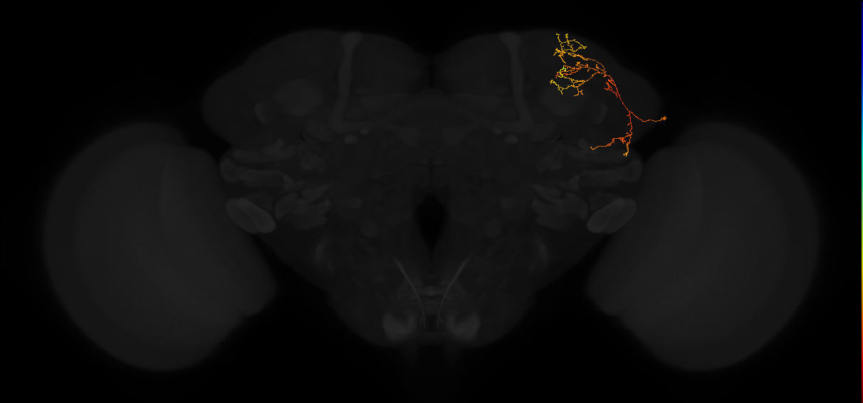 PDL17q_pct_R