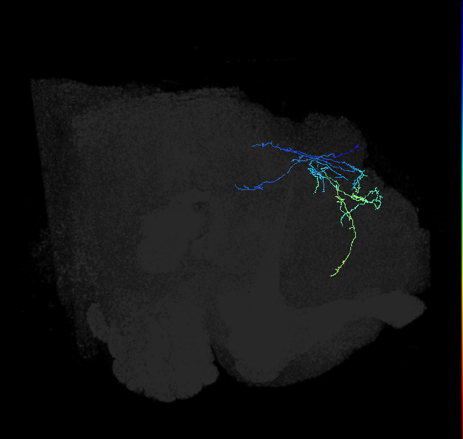 PDL14f_pct_R