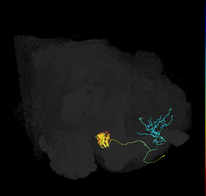 PAM04_a(B2)_R