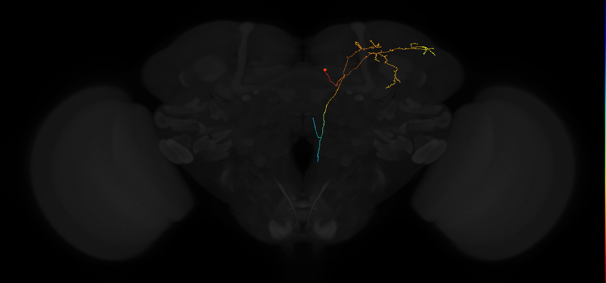 PDM05q_pct_R