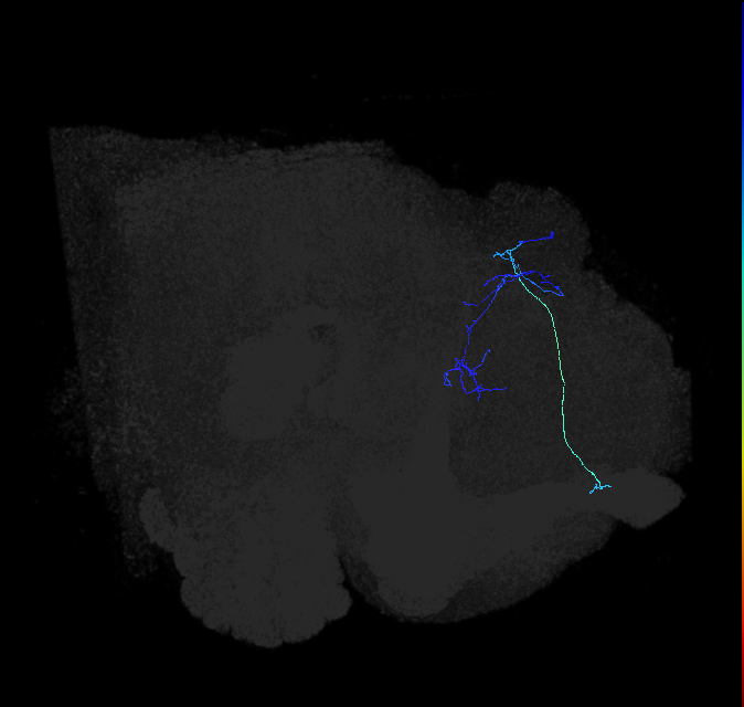 PDL22f_pct_R