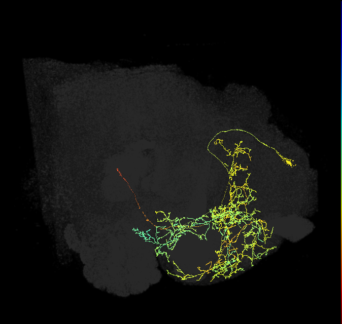 PDM12oc_pct_R