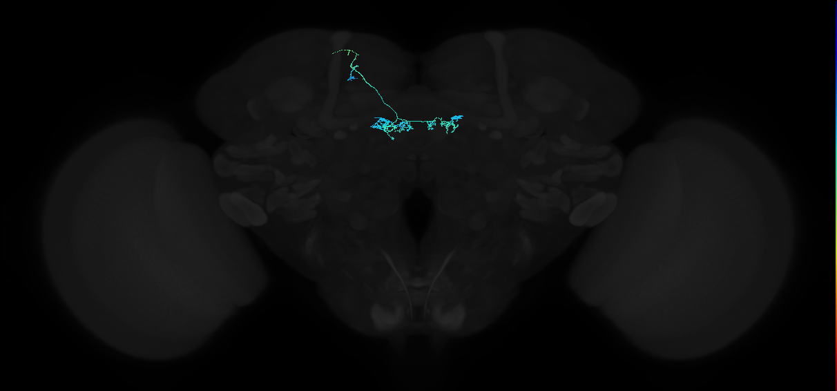 PAM04_a(B2)_L