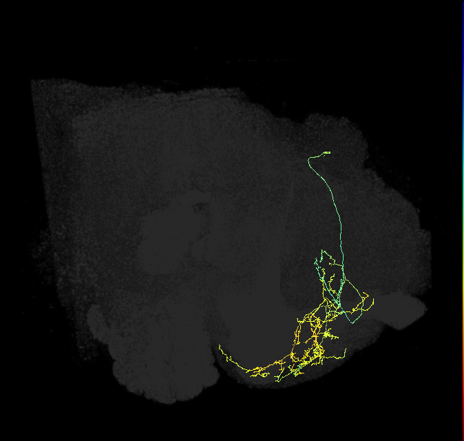 PDM08f_pct_R