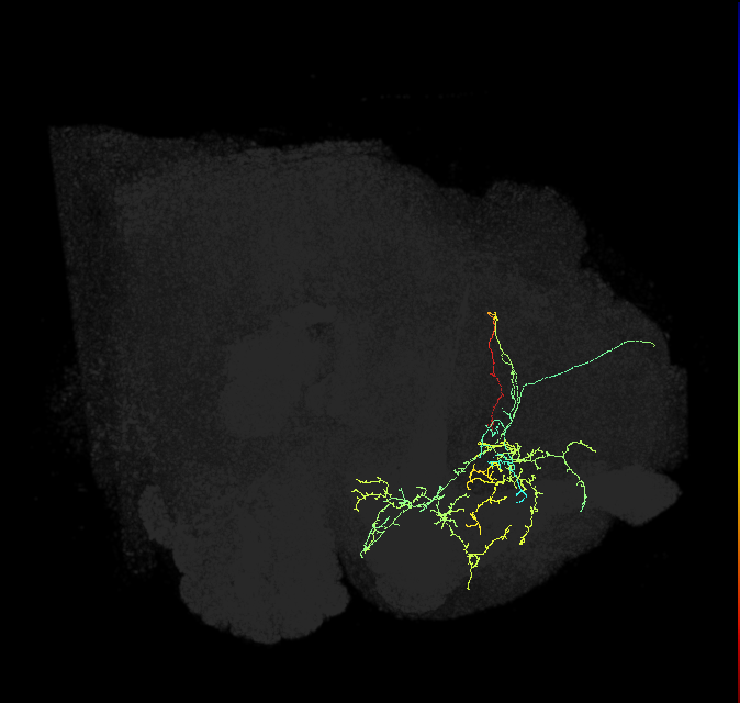 PDM11c_pct_R