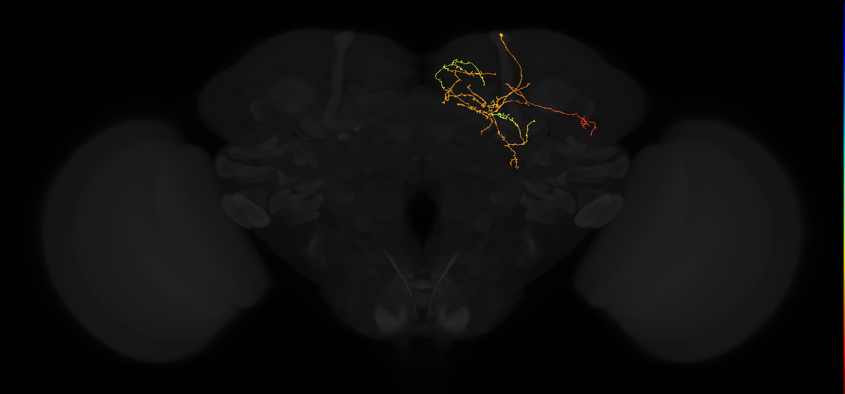 PDM10of_pct_R