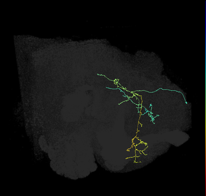 PDM10f_pct_R