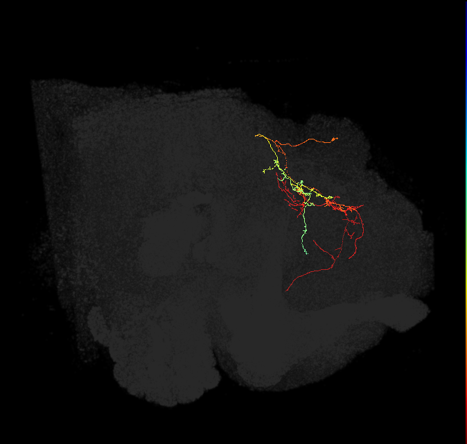 PDM16k_pct(PDM16)_L