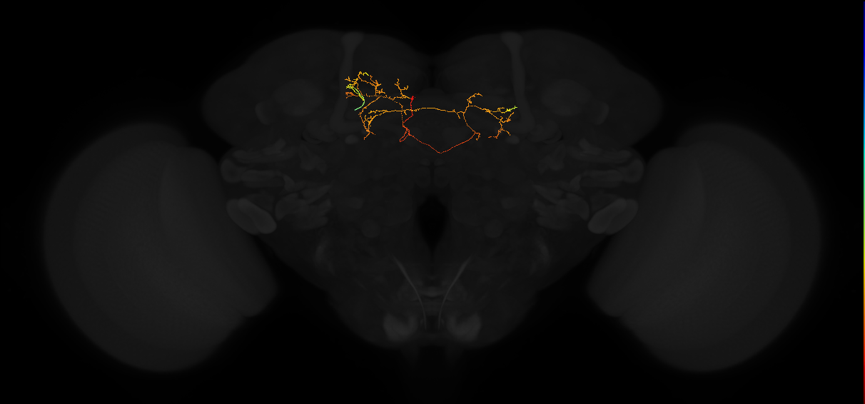 PDM16k_pct(PDM16)_L