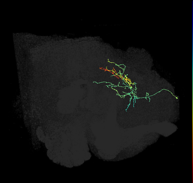 PDM11f_pct_R