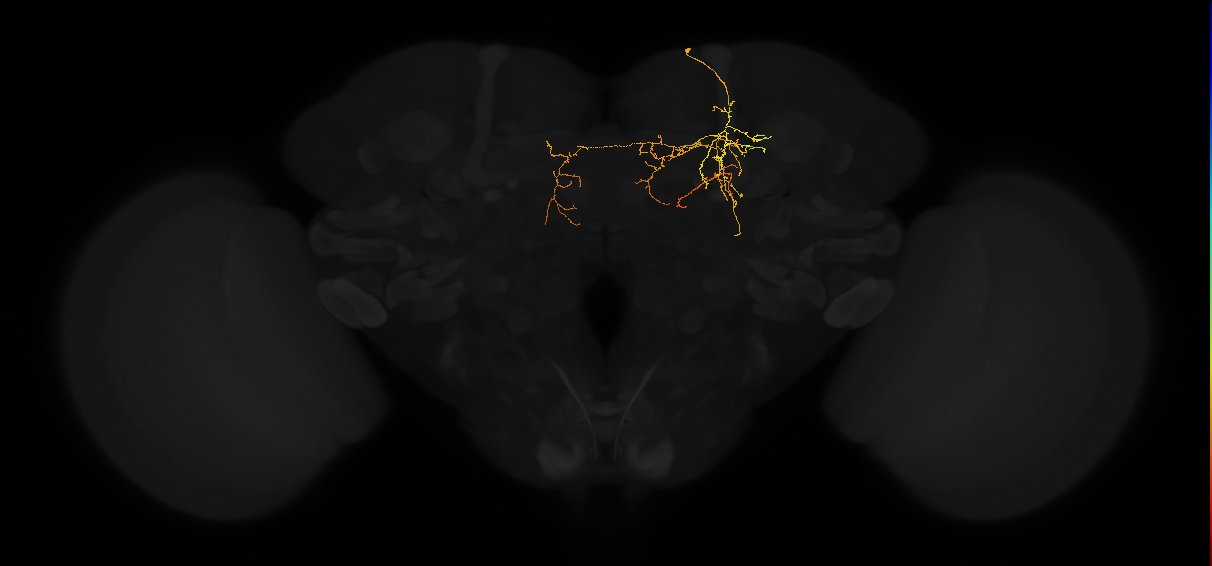 PDM11f_pct_R