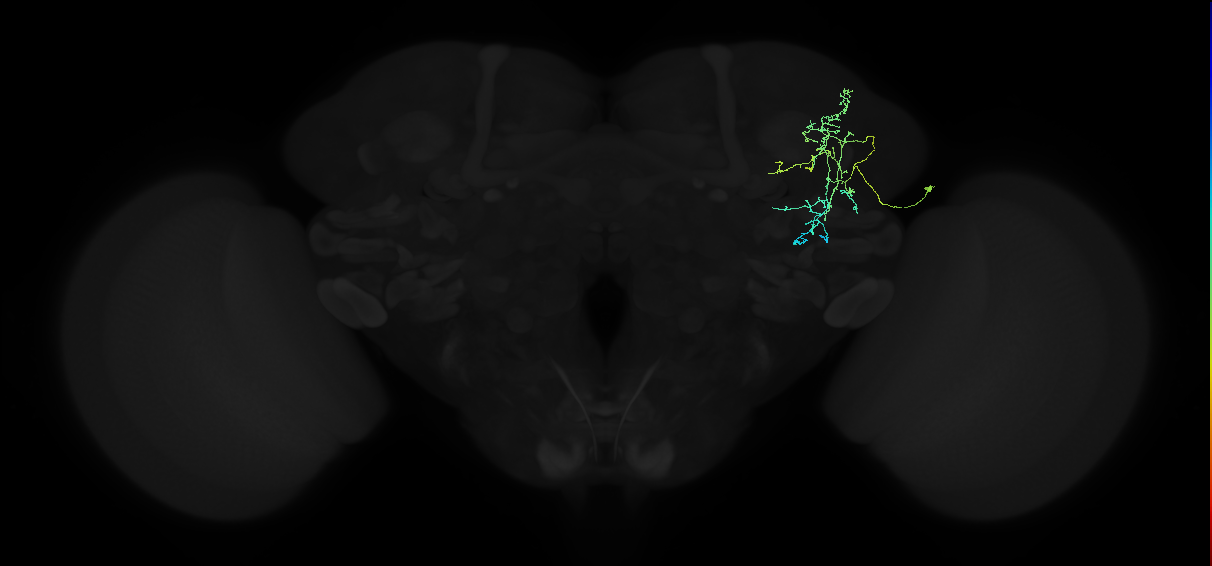 ADL22f_b_pct_R