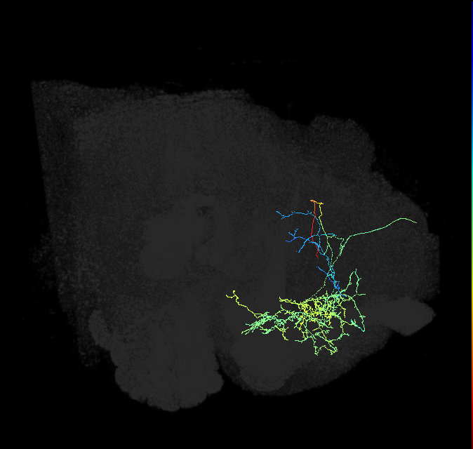 PDM11a_pct_R