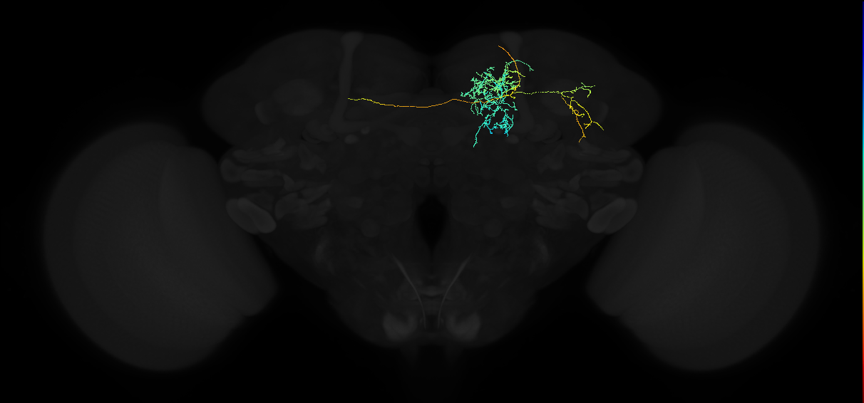 PDM11a_pct_R