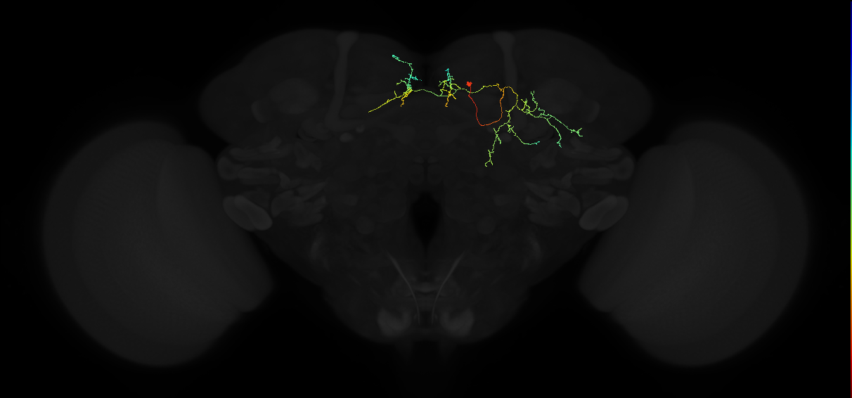 PDM22k_pct_R