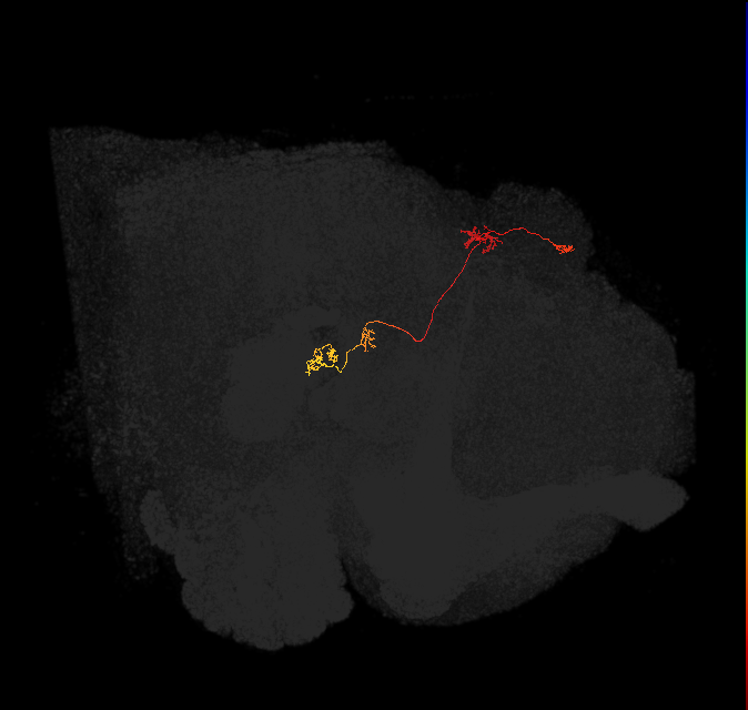 PFNp_a(PB01a)_L7_C6