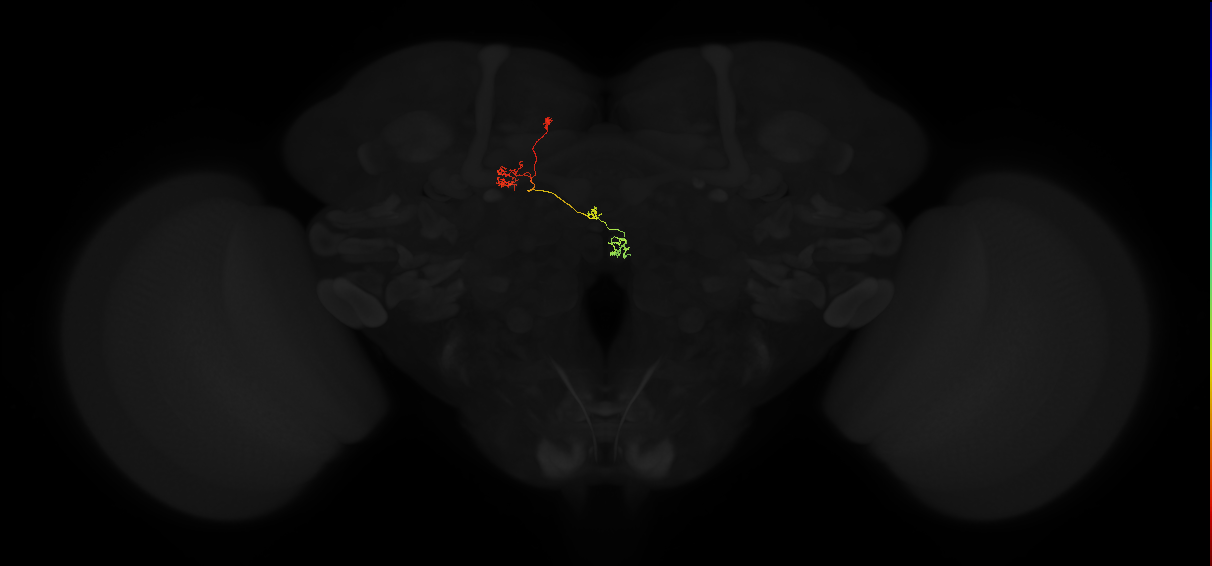 PFNp_a(PB01a)_L7_C6