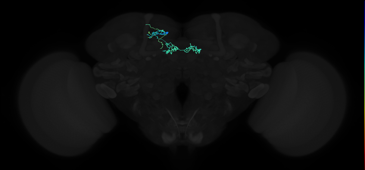 PAM05_a(B&bsol;'2p)_L