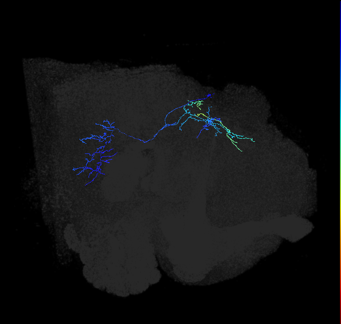 PVL03q_pct_R