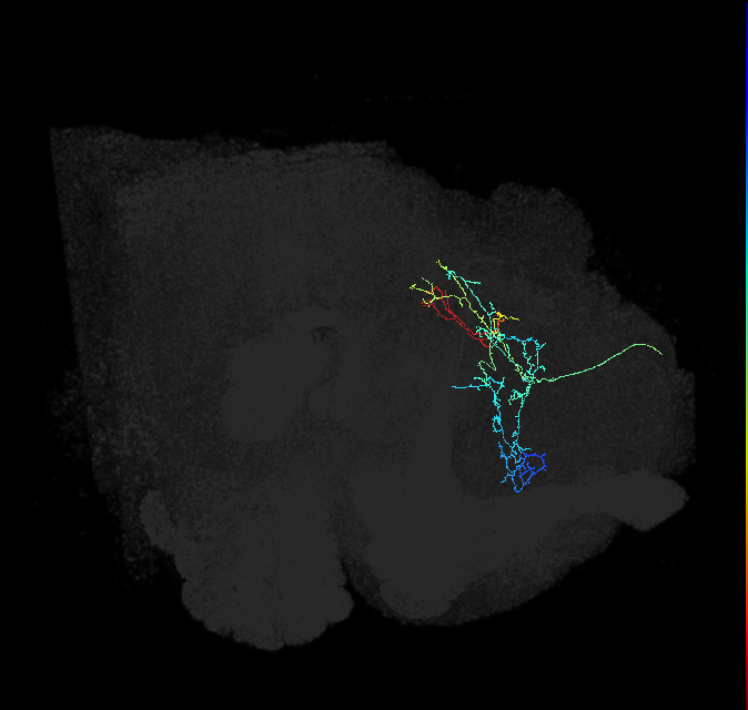 PDM11oq_pct_R