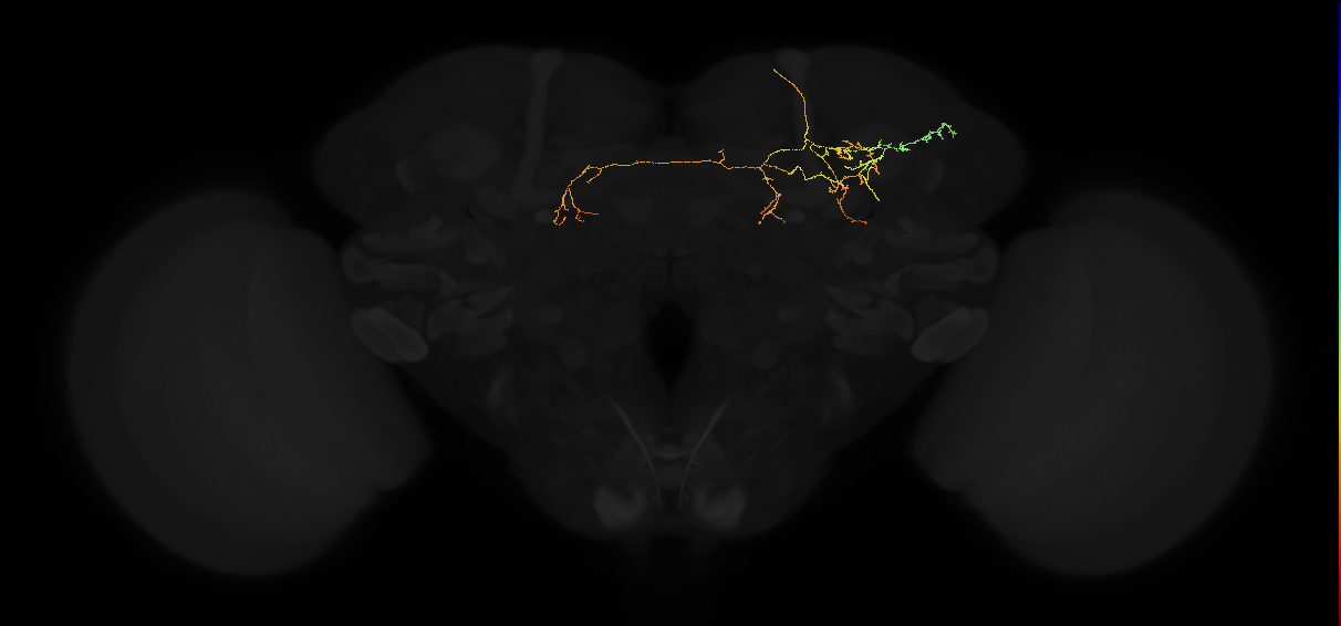 PDM11oq_pct_R