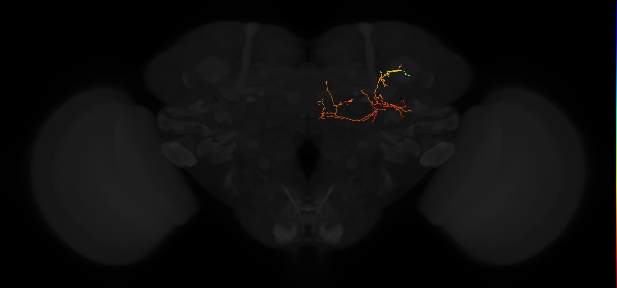 PVL13q_pct_R