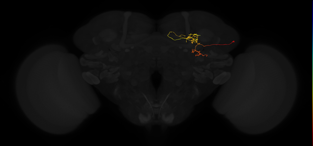 PDL21q_pct_R