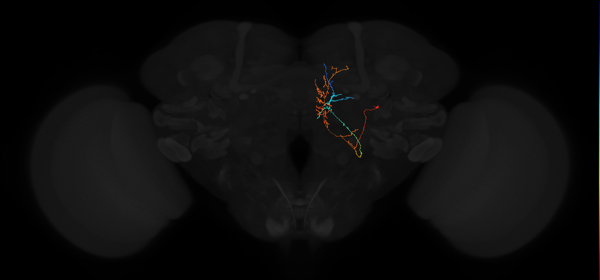 PVL16q_pct_R