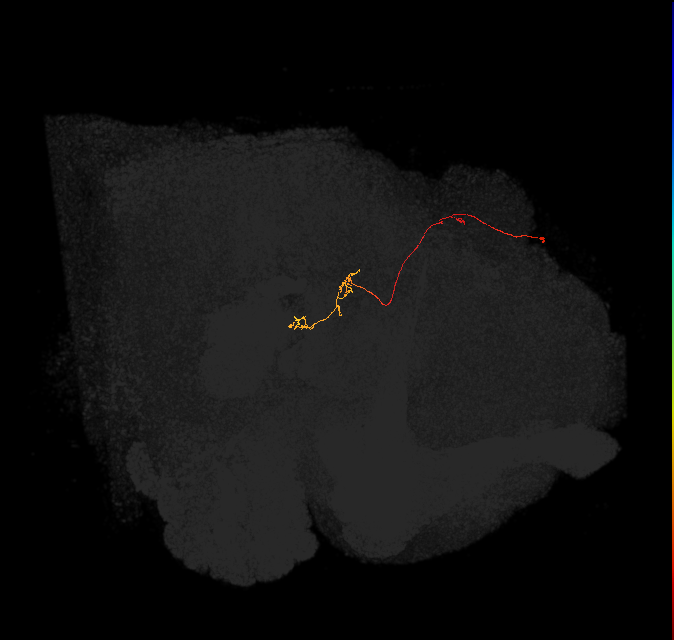 PFNp_a(PB01a)_L6_C5