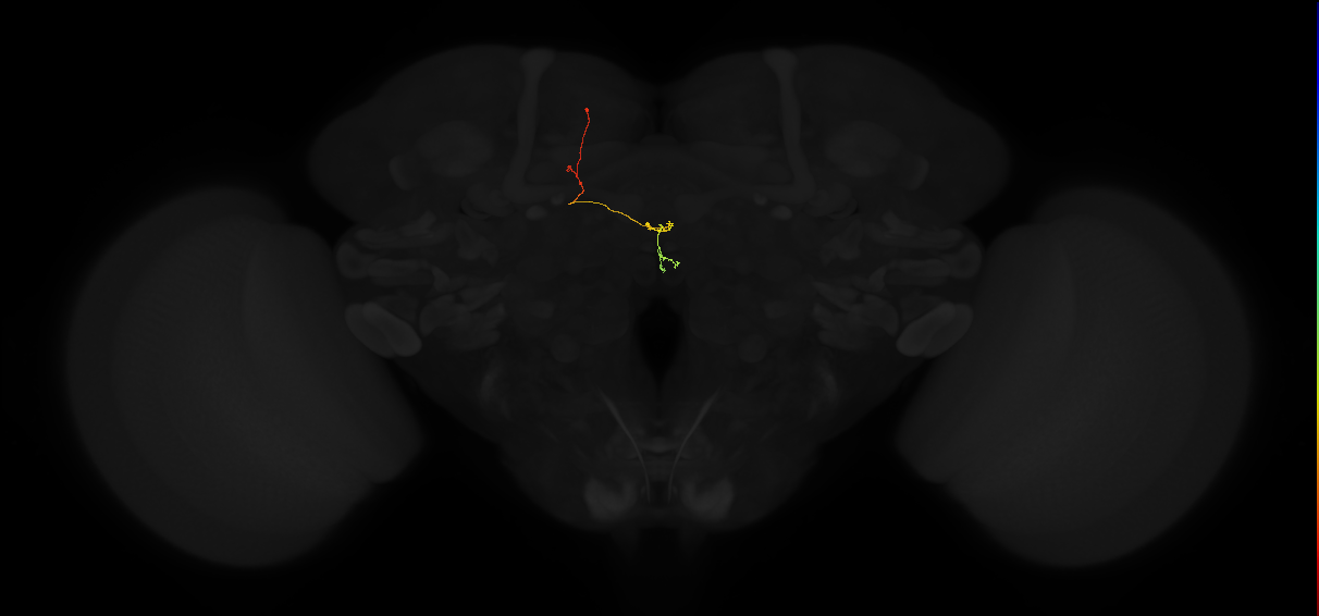 PFNp_a(PB01a)_L6_C5