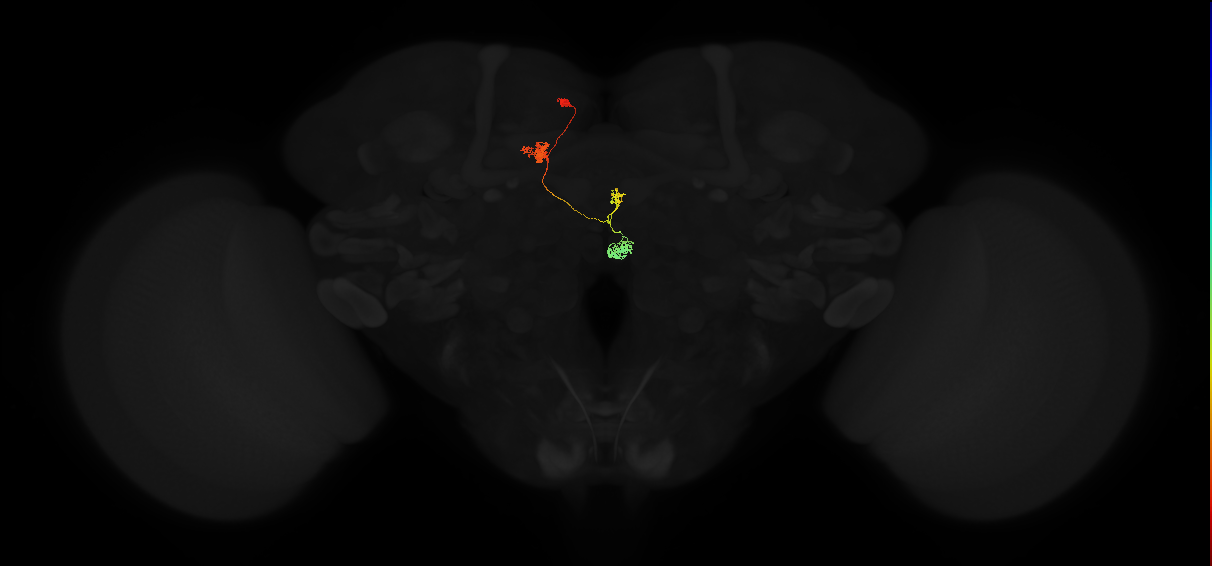 PFNa(PB03)_L5_C4