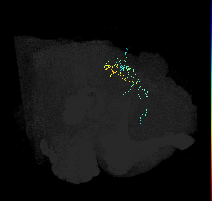 PVL13q_pct_R