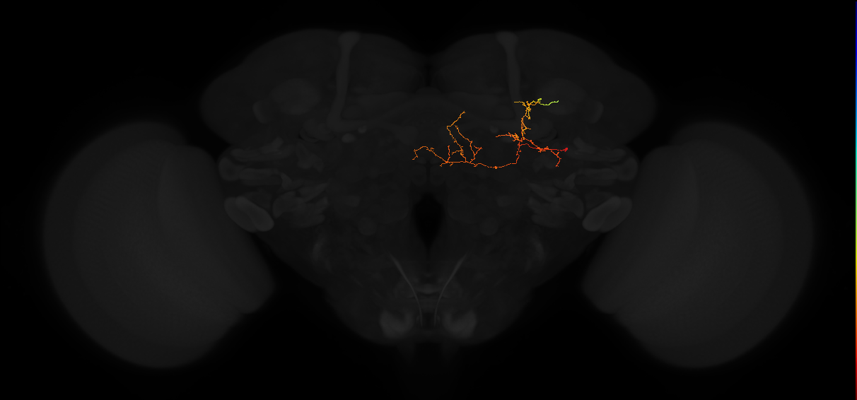 PVL13q_pct_R