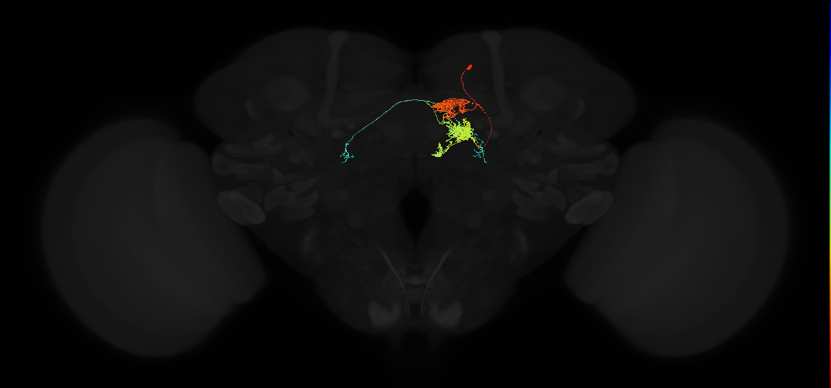 PFL2(PB12b)_R4_C2