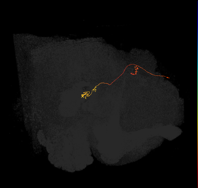 PFNp_a(PB01a)_L4_C3