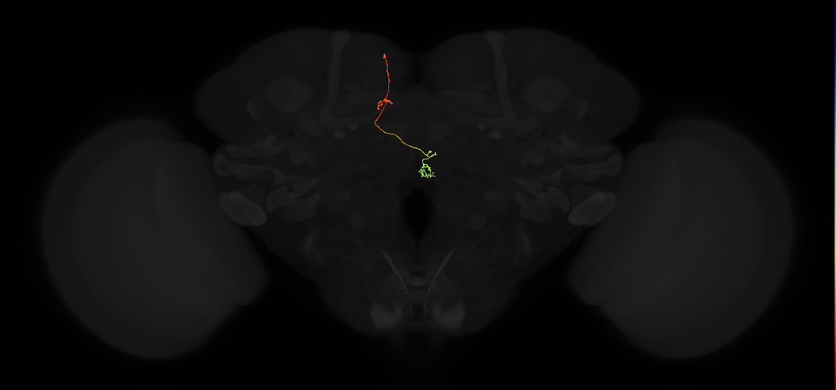 PFNp_a(PB01a)_L4_C3