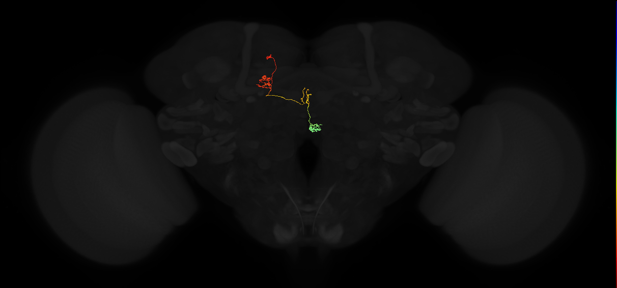 PFNa(PB03)_L6_C5