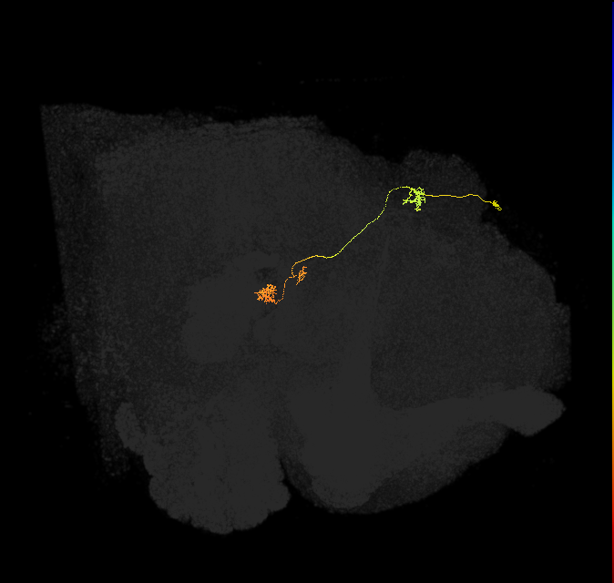 PFNp_a(PB01a)_R5_C6