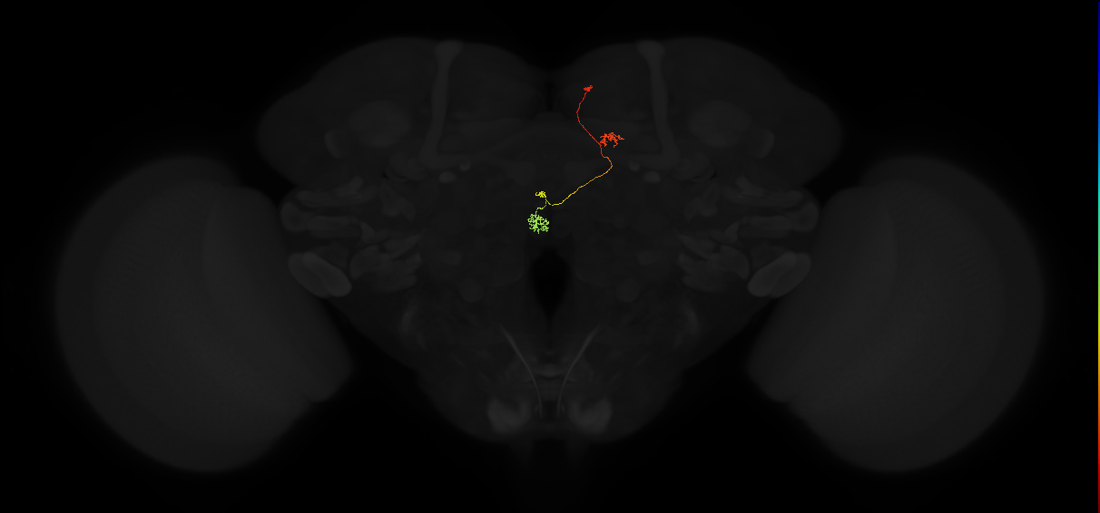 PFNp_a(PB01a)_R5_C6