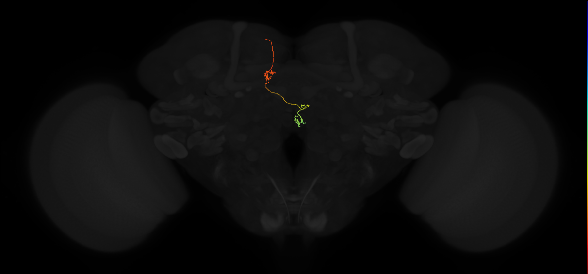 PFNp_b(PB01b)_L4_C3