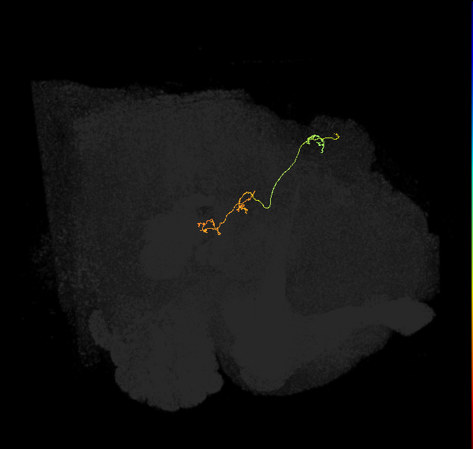 PFNp_b(PB01b)_R6_C5